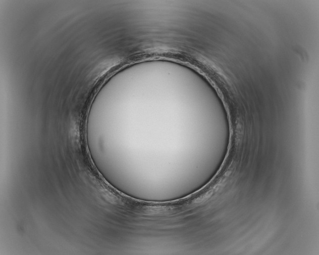 X0000110901305200907021529