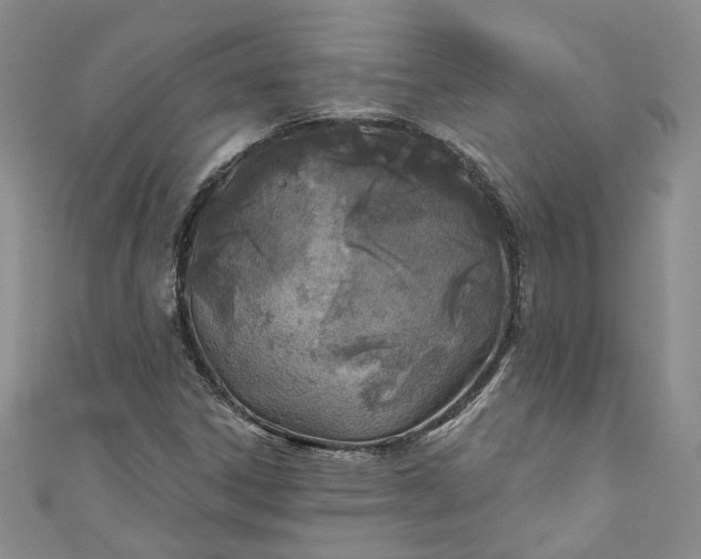 X0000110901306200907021529