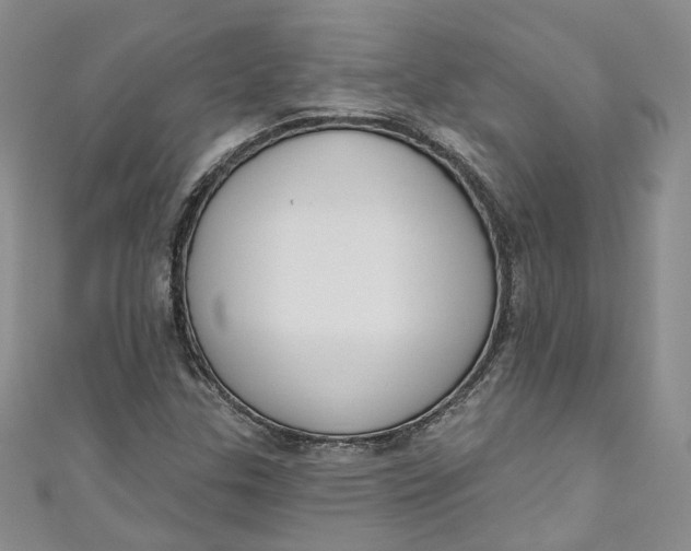 X0000110901307200907021529