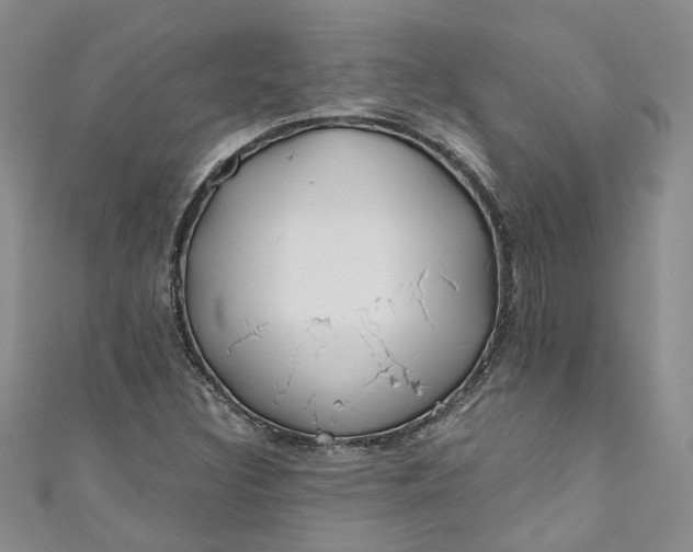 X0000110901308200907021529