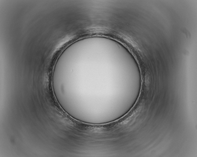 X0000110901309200907021529