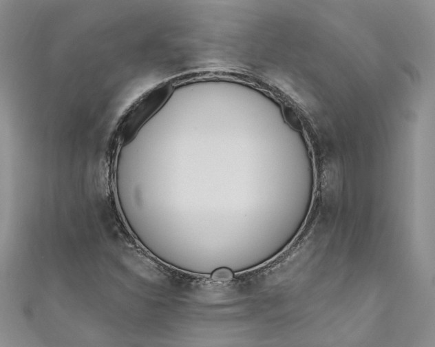 X0000110901310200907021529