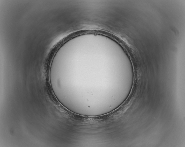 X0000110901311200907021529