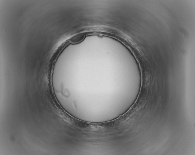 X0000110901312200907021529