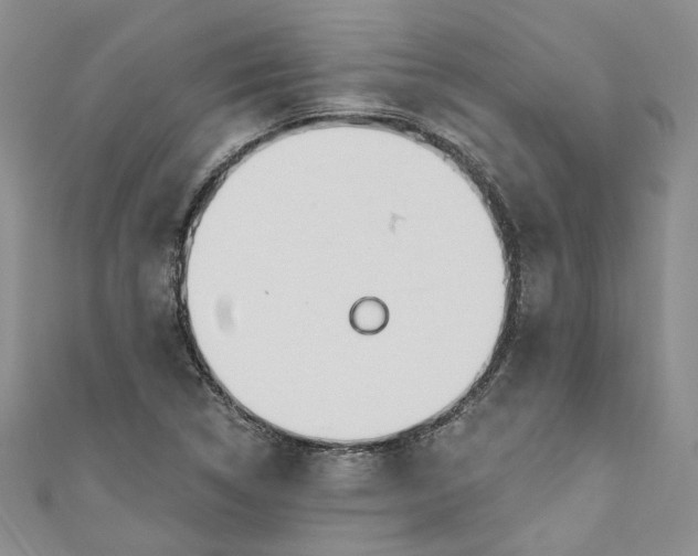 X0000110901314200907021529