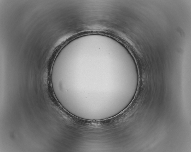 X0000110901315200907021529