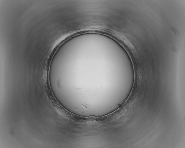 X0000110901316200907021529