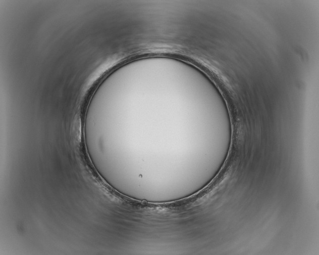 X0000110901317200907021529