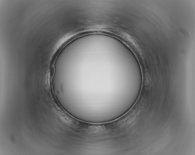 X0000110901320200907021529