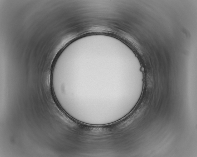 X0000110901322200907021529