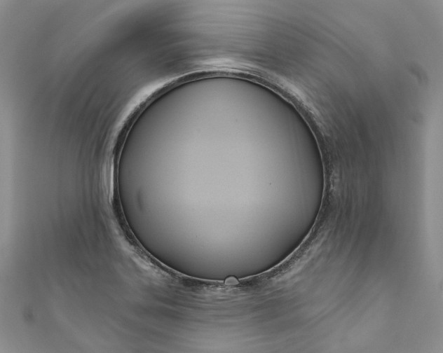 X0000110901323200907021529