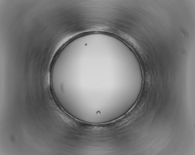 X0000110901324200907021529