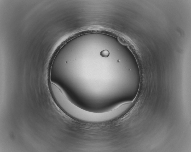 X0000110901326200907021529