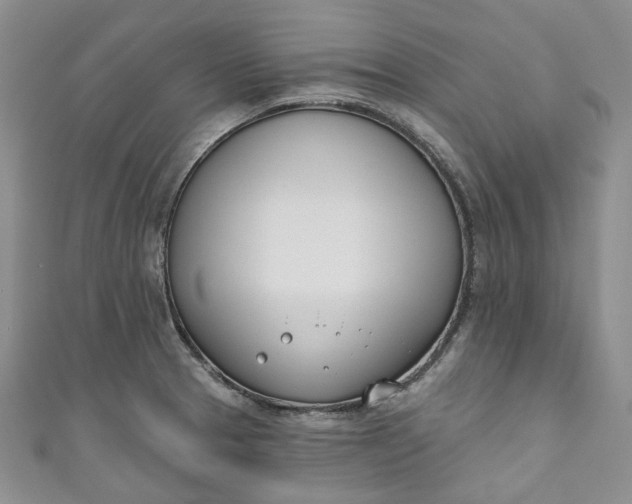 X0000110901329200907021530