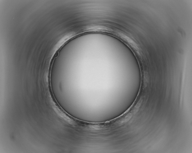 X0000110901330200907021530