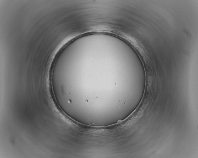 X0000110901331200907021530