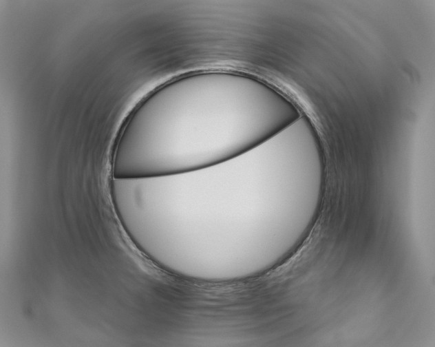 X0000110901332200907021530