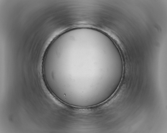 X0000110901333200907021530