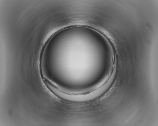 X0000110901334200907021530