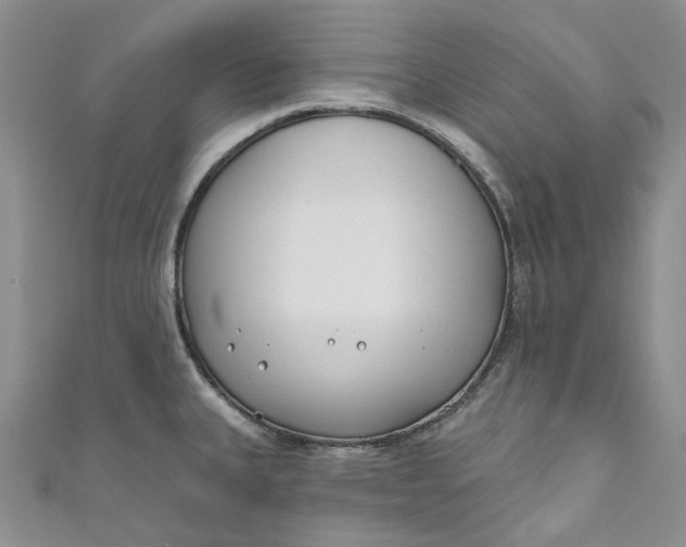 X0000110901335200907021530