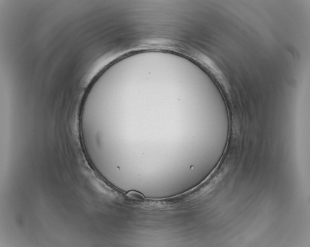 X0000110901336200907021530