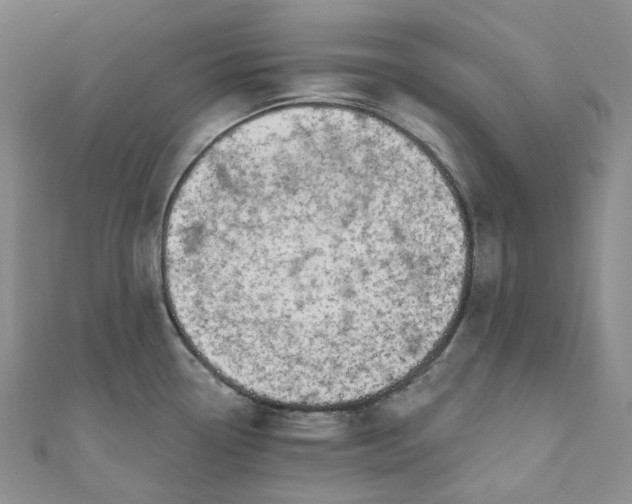 X0000110901338200907021530