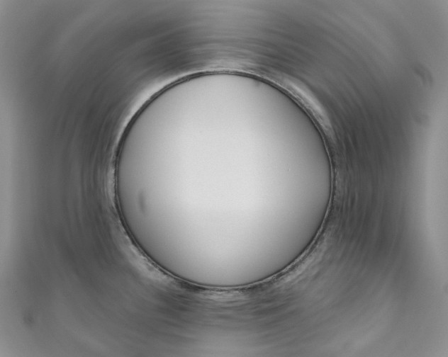 X0000110901340200907021530