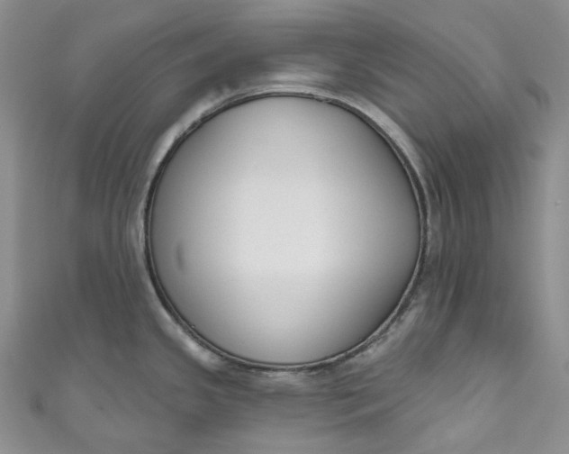 X0000110901341200907021530