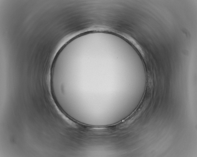 X0000110901343200907021530