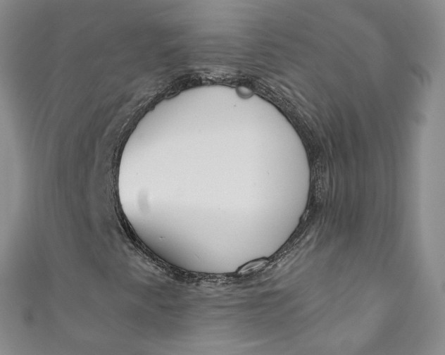 X0000110901345200907021529