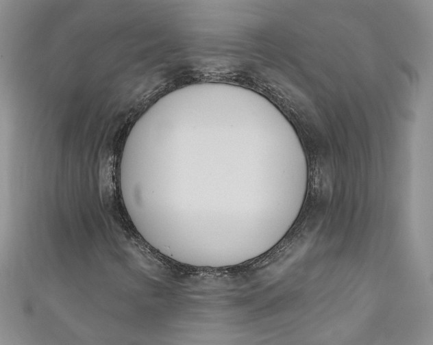 X0000110901346200907021529