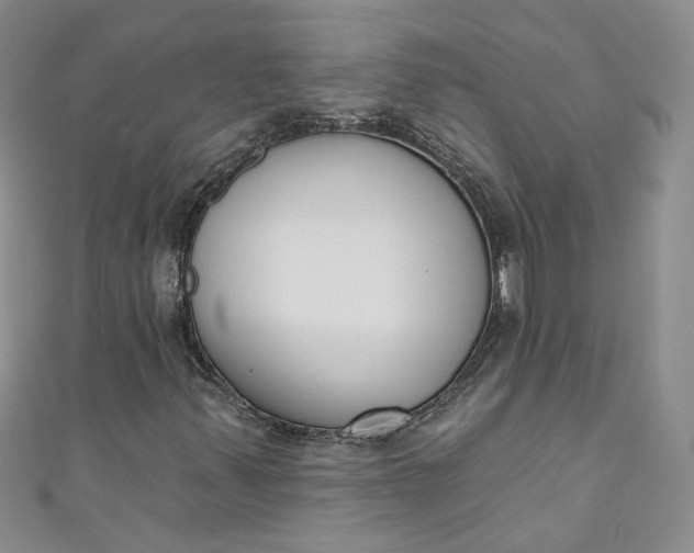 X0000110901347200907021529