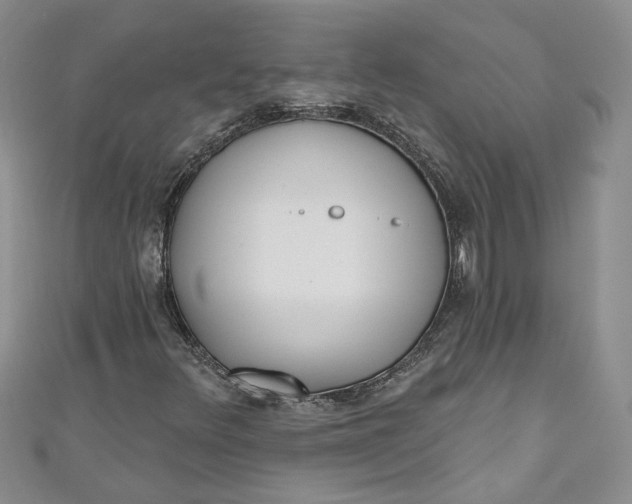 X0000110901348200907021529