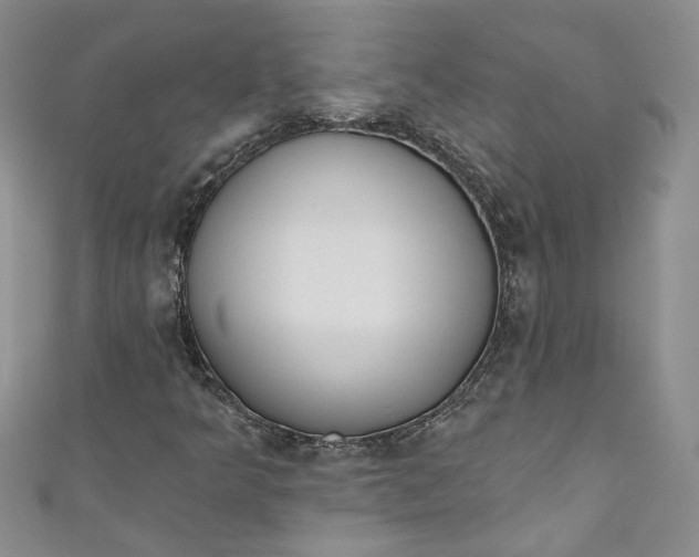 X0000110901349200907021529