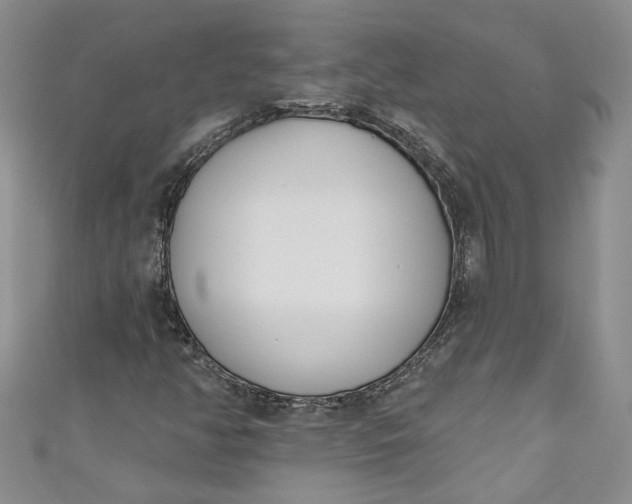 X0000110901350200907021529