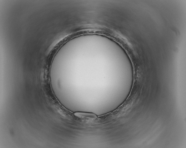 X0000110901352200907021529