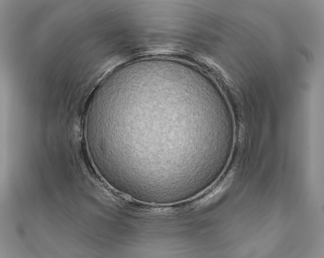 X0000110901353200907021529