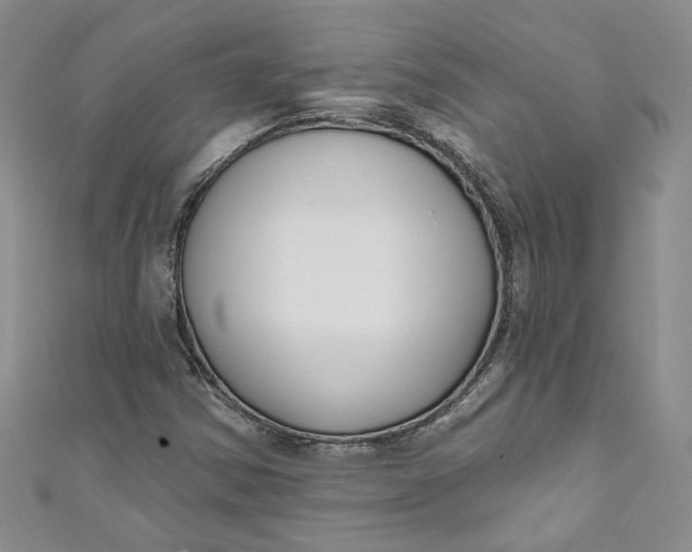 X0000110901354200907021529