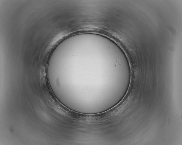 X0000110901355200907021529