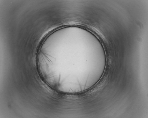 X0000110901356200907021529