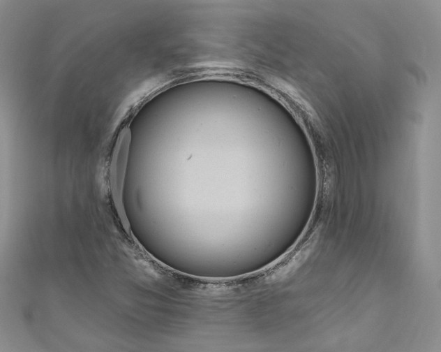 X0000110901357200907021529