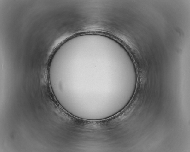 X0000110901358200907021529