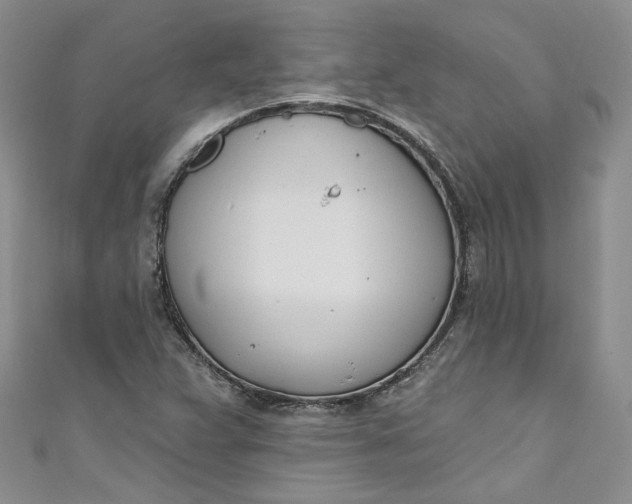 X0000110901359200907021529