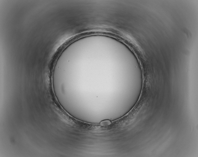 X0000110901360200907021529