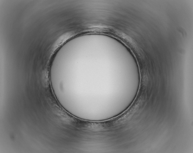 X0000110901362200907021529