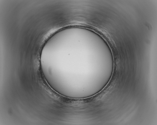 X0000110901363200907021529