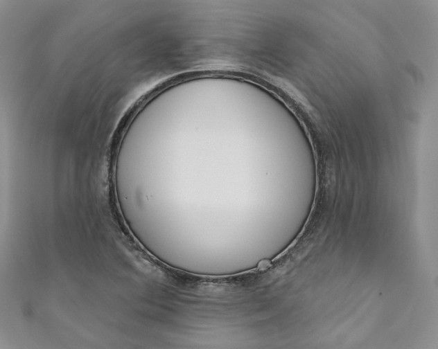 X0000110901364200907021529