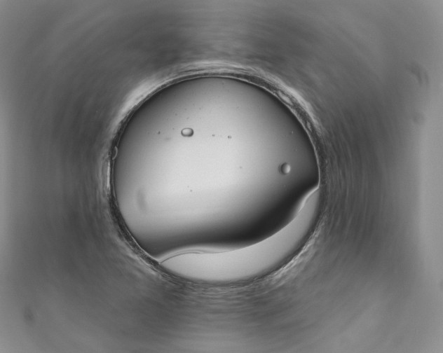 X0000110901365200907021529