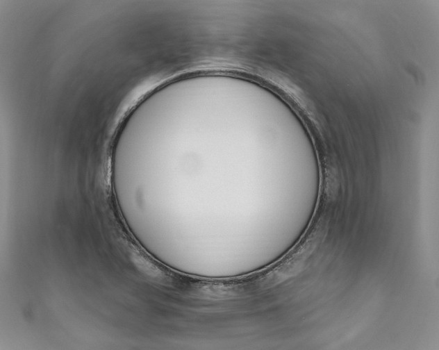 X0000110901366200907021529