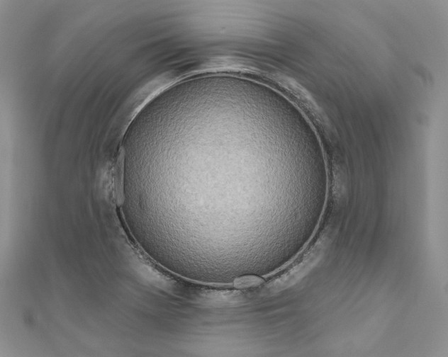 X0000110901369200907021529